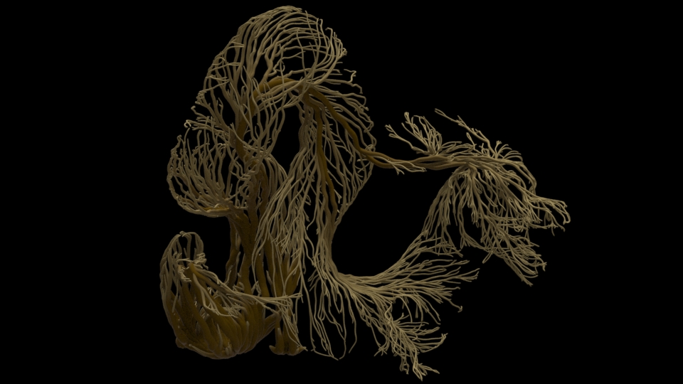 Houdini procedural roots