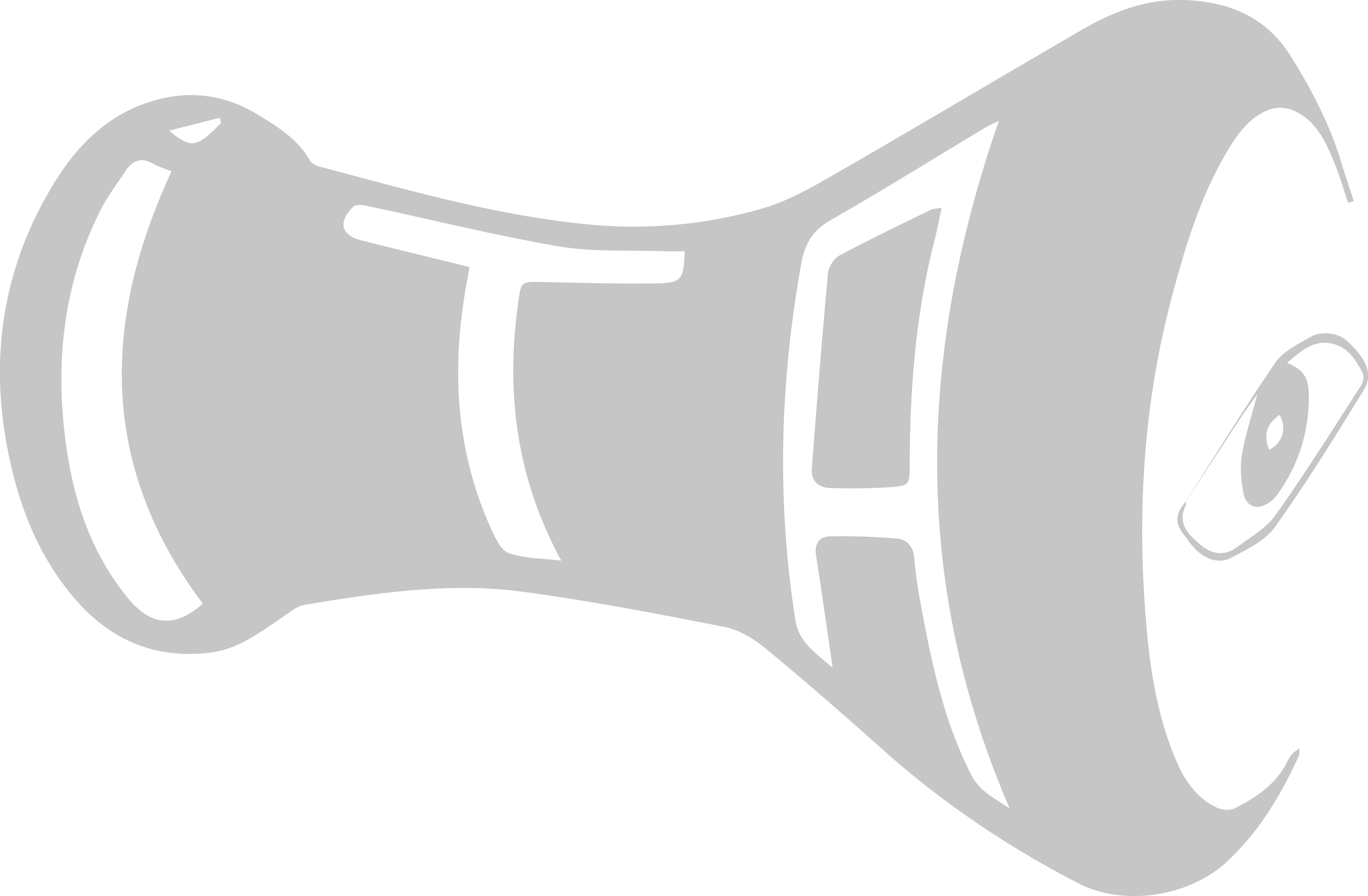 iritaca logo image